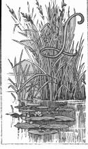 L illo from George D Leslie’s Our river