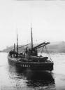 Zulu Fisher Lassie