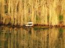 Photographs of the Medway river on a limpid winter afternoon Photograph of River Medway water meadows