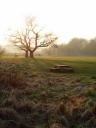 Photograph of River Medway water meadows