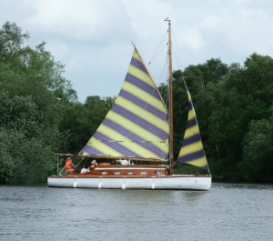 japonica-on-barton-broad Japonica on Barton Broad, Norfolk Broads