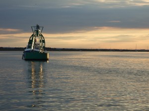 receptive-with-skulking-fisherman receptive-with-skulking-fisherman-300x225 Swale photos... Ive got to get them off my chest so here they are!