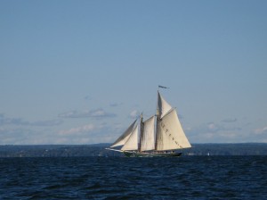schooner-2-300x224 Historic schooner Lettie G Howard sailing off Stamford