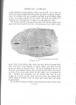 Schoettle on catboats18