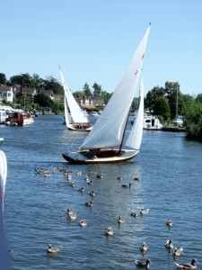 horning-12