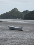 IMG_0160 IMG_0160