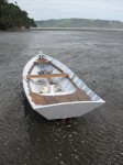 IMG_0162 IMG_0162