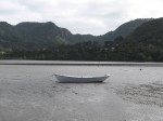 IMG_0164 IMG_0164