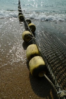 Hong Kong nets