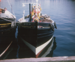 Violet FR451 at Harbour zulu, fishing boat, violet, vesper, stephen