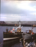 William Stephen at Harbour on Violet FR451 zulu, fishing boat, violet, vesper, stephen
