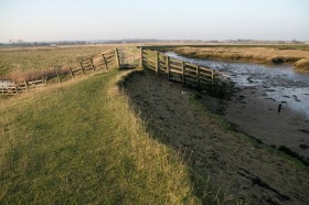 Hollowshore and Ham Farm marshes threatened by Brett Aggregates photographed by Alan Thorne Hollowshore and Ham Farm marshes threatened by Brett Aggregates photographed by Alan Thorne