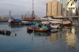 DSCF5005