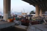 DSCF5029
