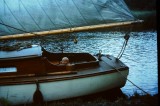 The Broads in 1956 19
