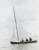 Ronan Lee 'Seagull' sailing boat 5